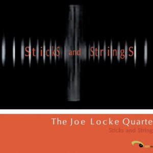 Joe Locke - Sticks and Strings